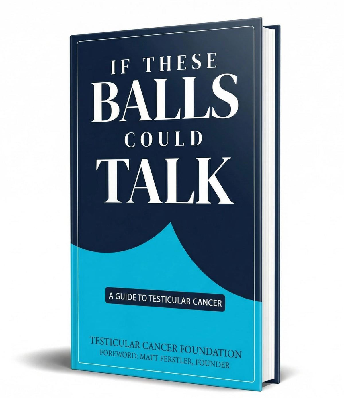 If These Balls Could Talk book cover