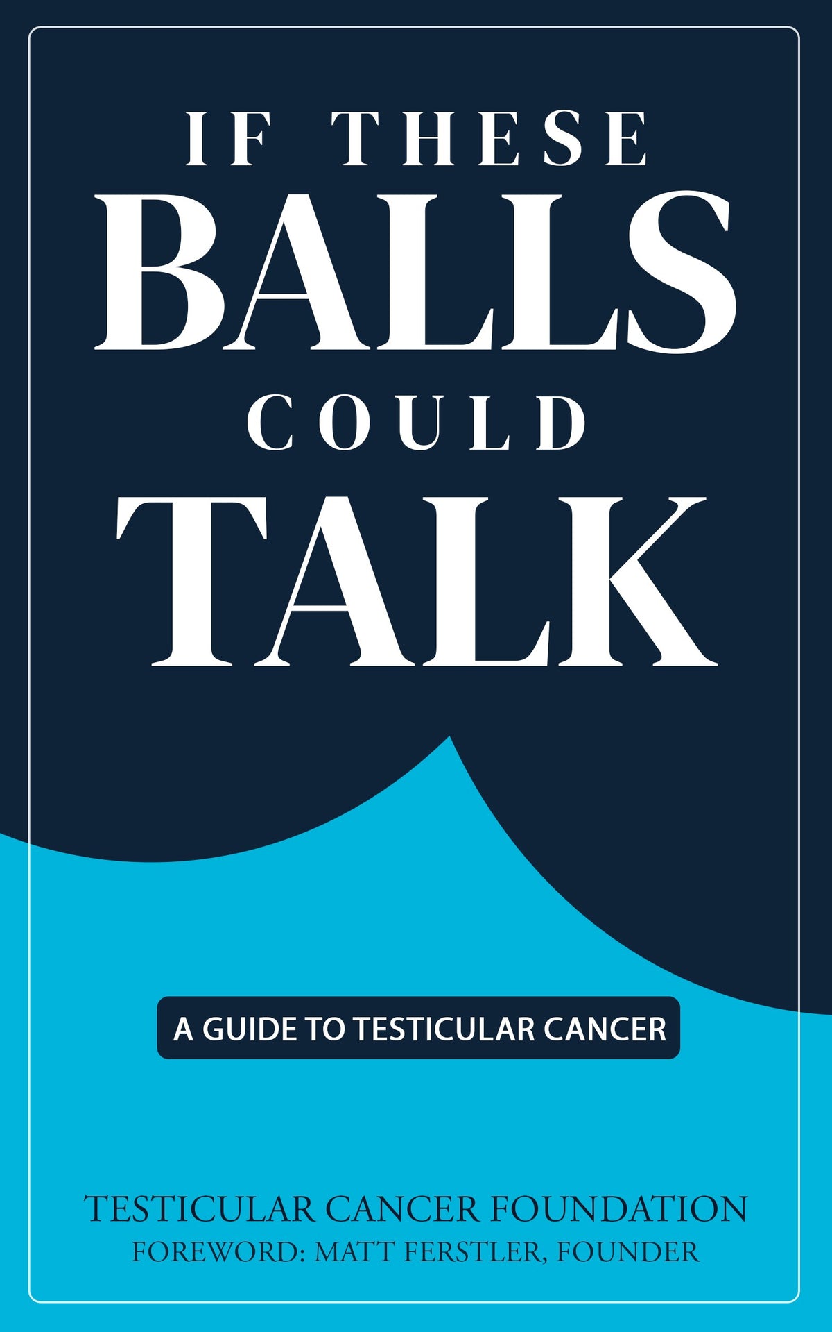 If These Balls Could Talk paperback