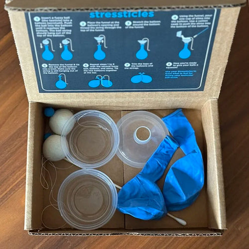 Stressticles DIY Kit, overhead view